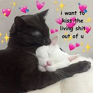 Image result for Love You Bunches Meme Cat