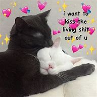 Image result for Cat Signal Love Meme