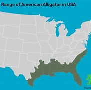 Image result for Alligator Habitat Range