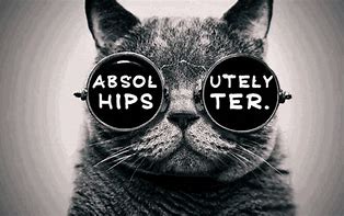 Image result for Hipster Cat Meme