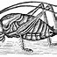 Image result for Cricket Bug Clip Art Black and White