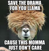 Image result for Drama Llama Meme