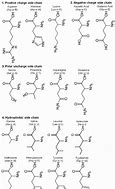 Image result for 21 Amino Acids