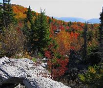 Image result for Autumn Height NHRA