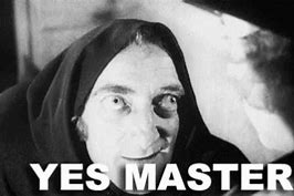 Image result for Yes Master Funny