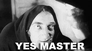 Image result for Yes Master Funny