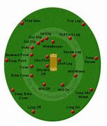 Image result for Cricket Pitch Positions