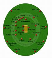 Image result for Cricket Field Diagram for Spin Bolwers