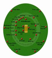 Image result for Cricket Field Diagram