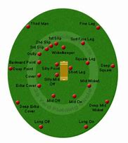 Image result for Picture of a Labeled Cricket Field and Positions