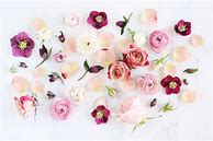 Image result for Pinterest Wallpaper Floral