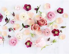 Image result for Floral Desktop Wallpaper Pinterest