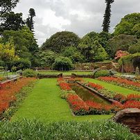 Image result for Durban Botanic Gardens