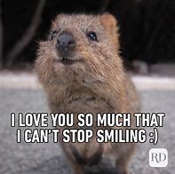 Image result for Love You Too Funny Meme
