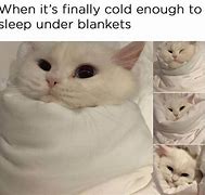 Image result for Comfy Blanket Meme
