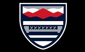 Image result for New England College Athletics Logo