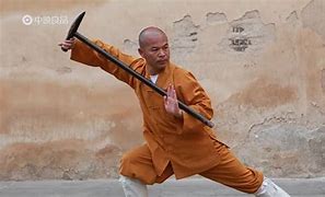 Image result for Shaolin Kung Fu Techniques