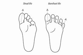 Image result for Feet Shapes