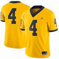 Image result for Michigan Wolverines Jersey