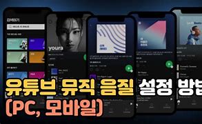 Image result for iOS 12 뮤직 음질