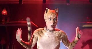 Image result for Live-Action Cats Memes
