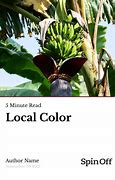 Image result for Local Color Literature