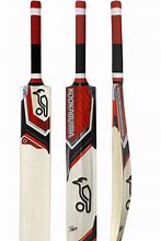 Image result for Cricket Stock Images. Free