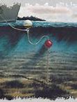 Image result for Ship Anchor below Water
