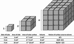 Image result for How Big Is 1Cmcubed