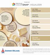 Image result for Champagne Wall Color