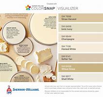 Image result for Champagne Colored Paint