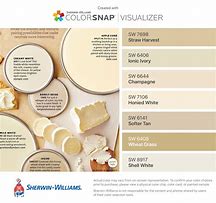 Image result for Champagne Paint Color