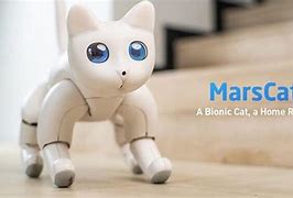 Image result for Mars Cat Robot