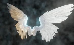 Image result for Gear Design Angelic Wing