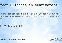 Image result for 5Ft 8 in Cm