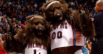 Image result for Grizz Memphis Grizzlies Mascot