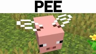 Image result for Curse Minecraft Memes