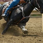 Image result for Western Riding Barrel Racing