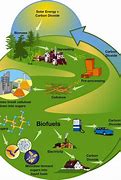 Image result for Biofuel Types