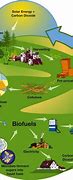 Image result for What Are Biofuels