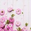 Image result for Pink Wallpaper for iPhone 12