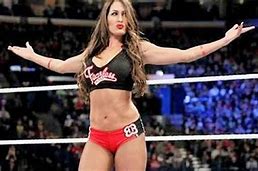 Image result for WWE News Nikki Bella