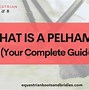 Image result for What Is a Pelham Bit