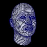 Image result for Face Wireframe