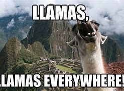 Image result for Bad Llama Meme