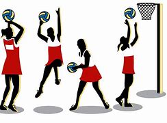 Image result for Netball Ball Clip Art