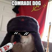 Image result for Comrade Dog Meme