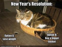 Image result for Sarcastic New Year's Resolutions