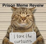 Image result for Go to Angry Jail Meme
