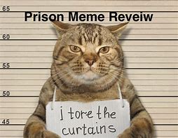 Image result for Put Them in Jail Meme